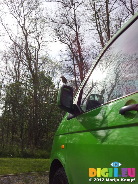 SII20120509_090921 Robin perched on van's wing mirror